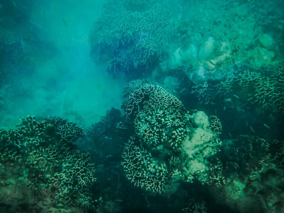 Photo of Neil Island, Andaman and Nicobar Islands by Aaheli Roy