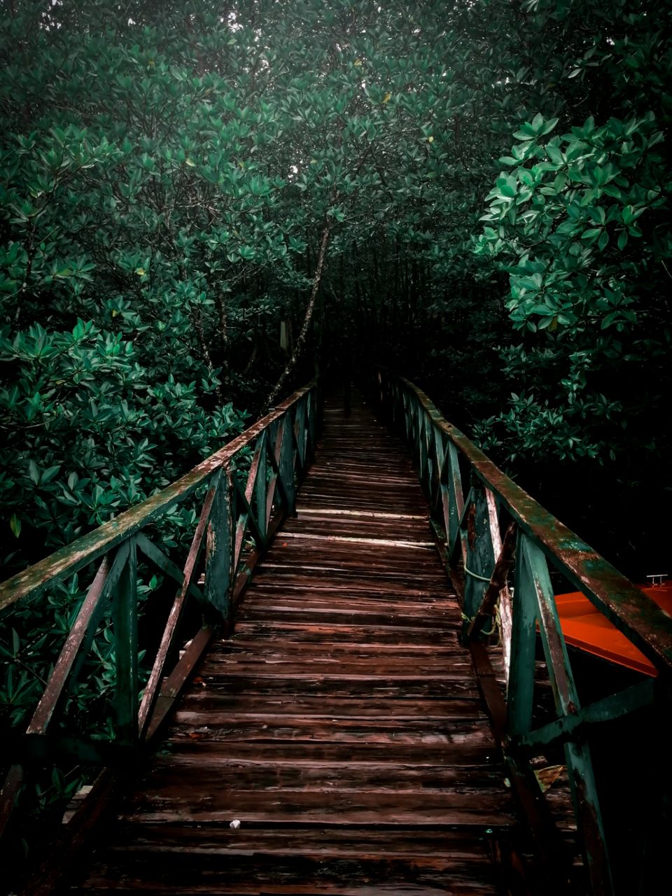 Photo of Baratang, Andaman and Nicobar Islands by Aaheli Roy