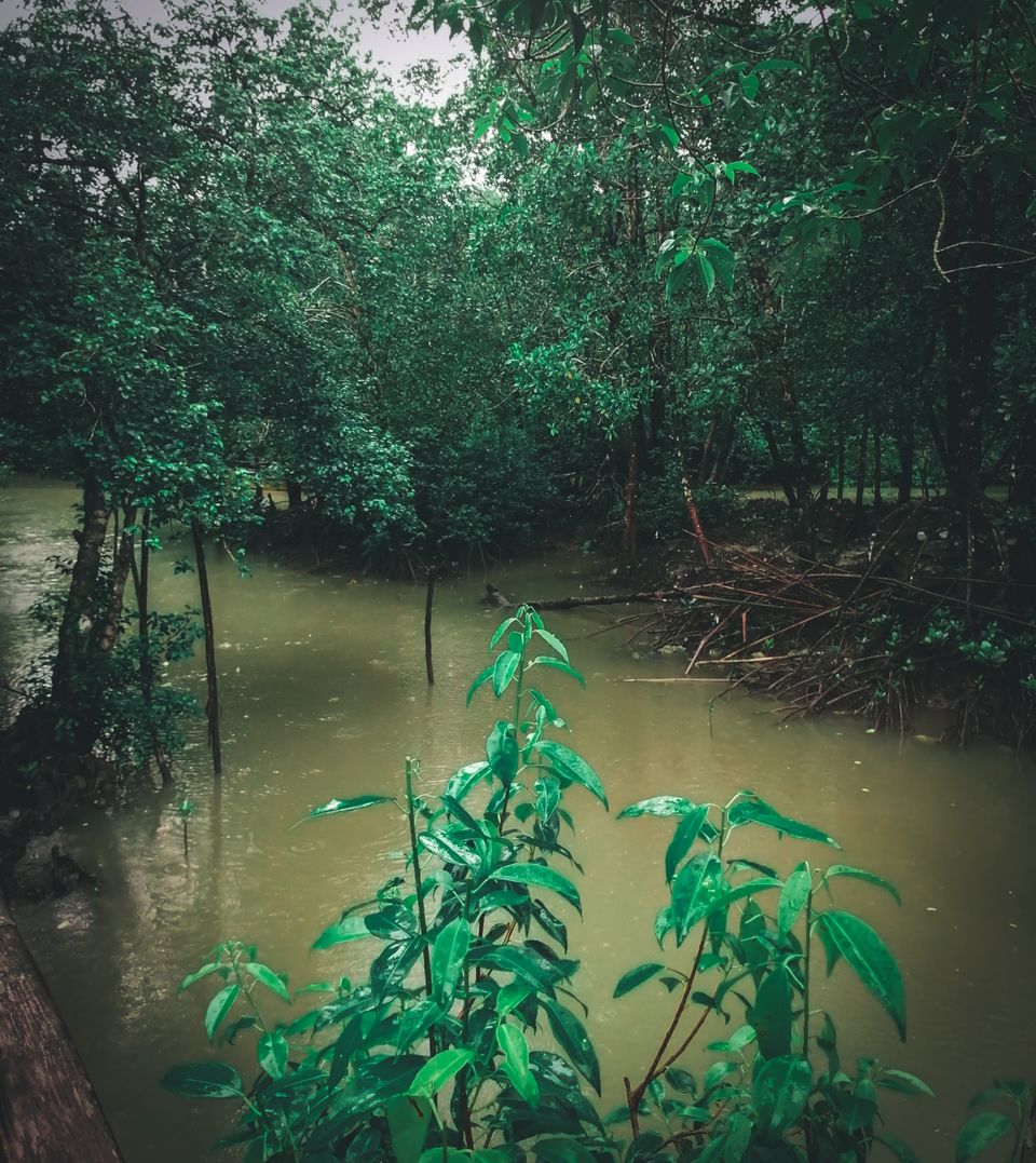 Photo of Baratang, Andaman and Nicobar Islands by Aaheli Roy