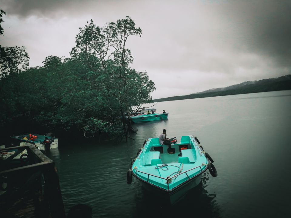 Photo of Baratang, Andaman and Nicobar Islands by Aaheli Roy