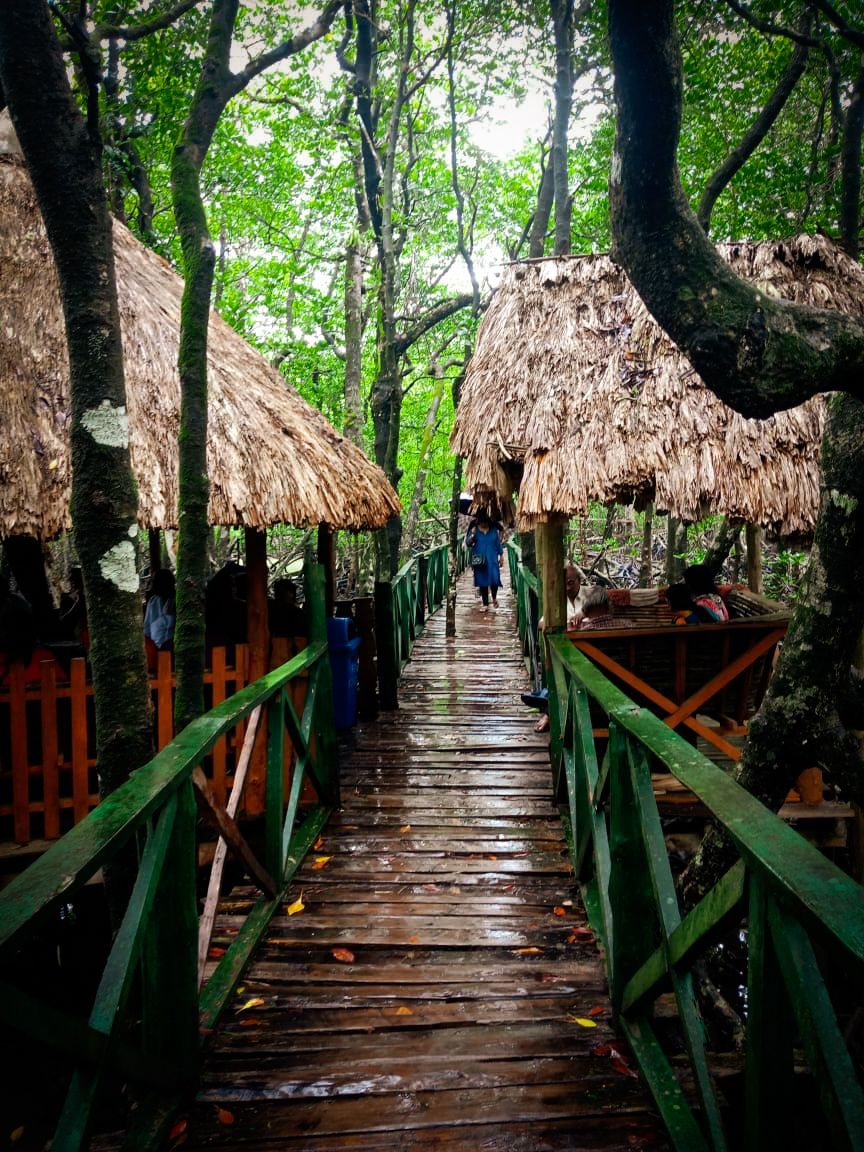 Photo of Baratang, Andaman and Nicobar Islands by Aaheli Roy