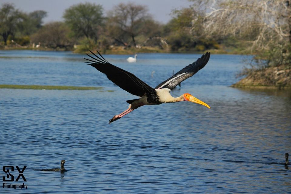 Photo of பறவைகளைத் தேடி.. by Sivalingam P