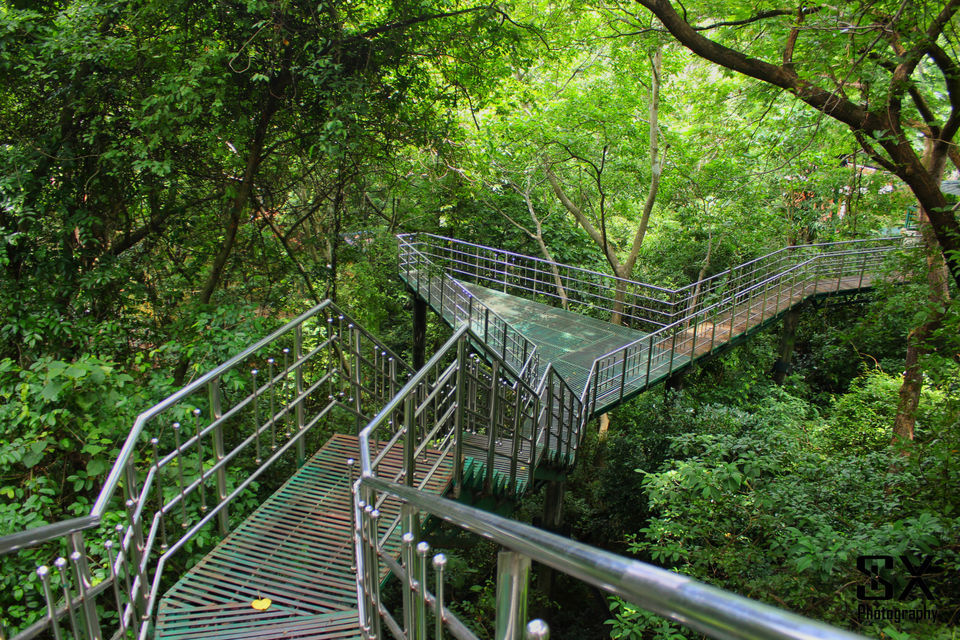 Photo of Monsoon Trip to Thenmala (Honey Hill), Kerala. by Sivalingam P