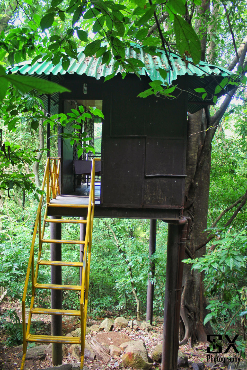 Photo of Monsoon Trip to Thenmala (Honey Hill), Kerala. by Sivalingam P