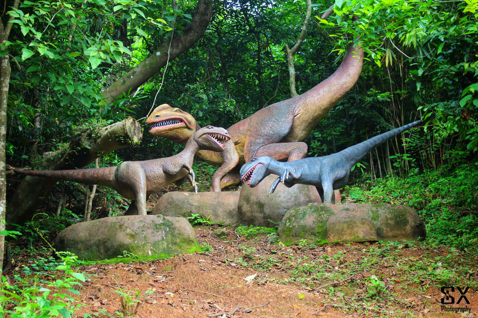 Photo of Thenmala, Kerala, India by Sivalingam P