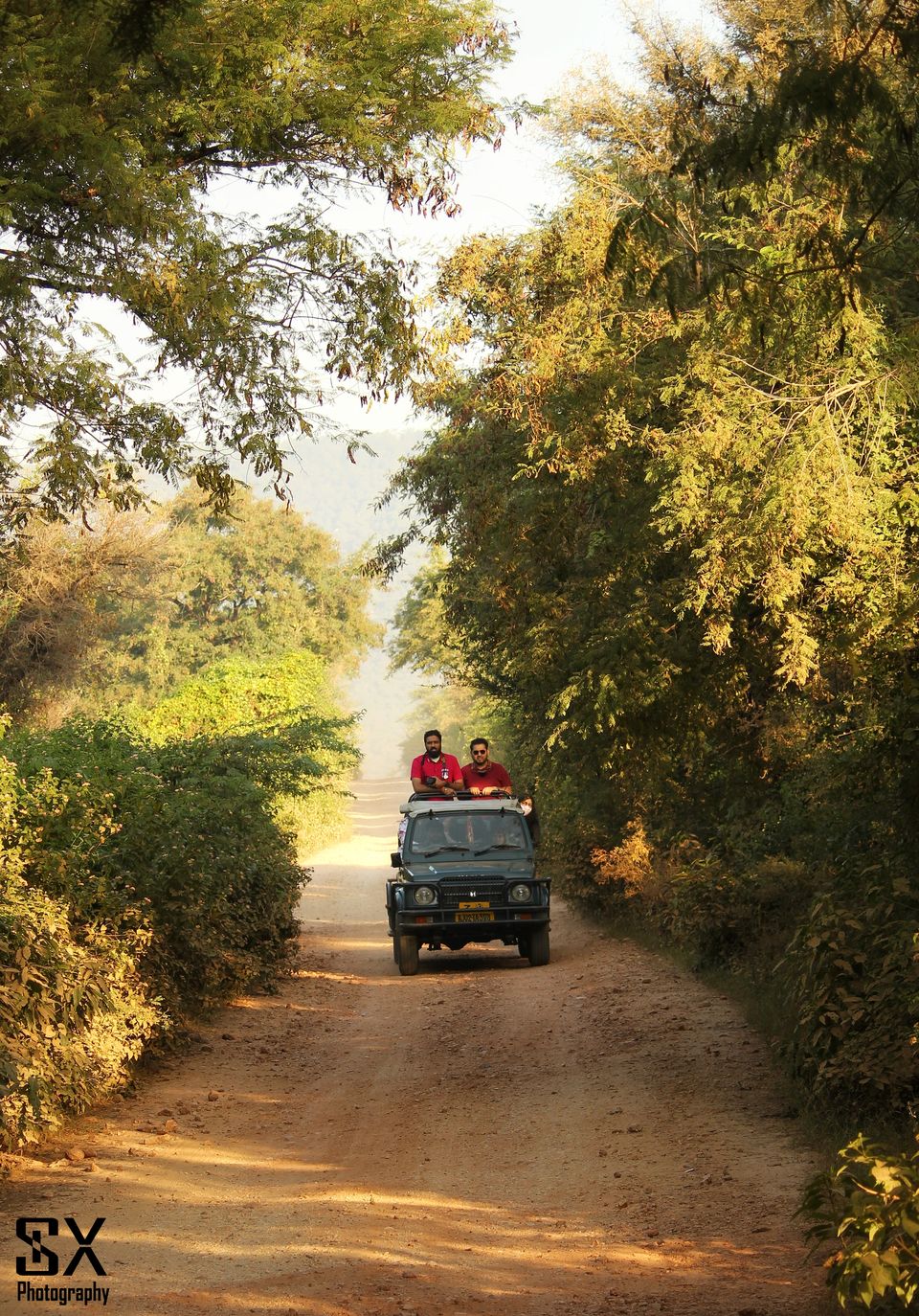 Photo of Thrilling Safari at Sariska Tiger Reserve by Sivalingam P