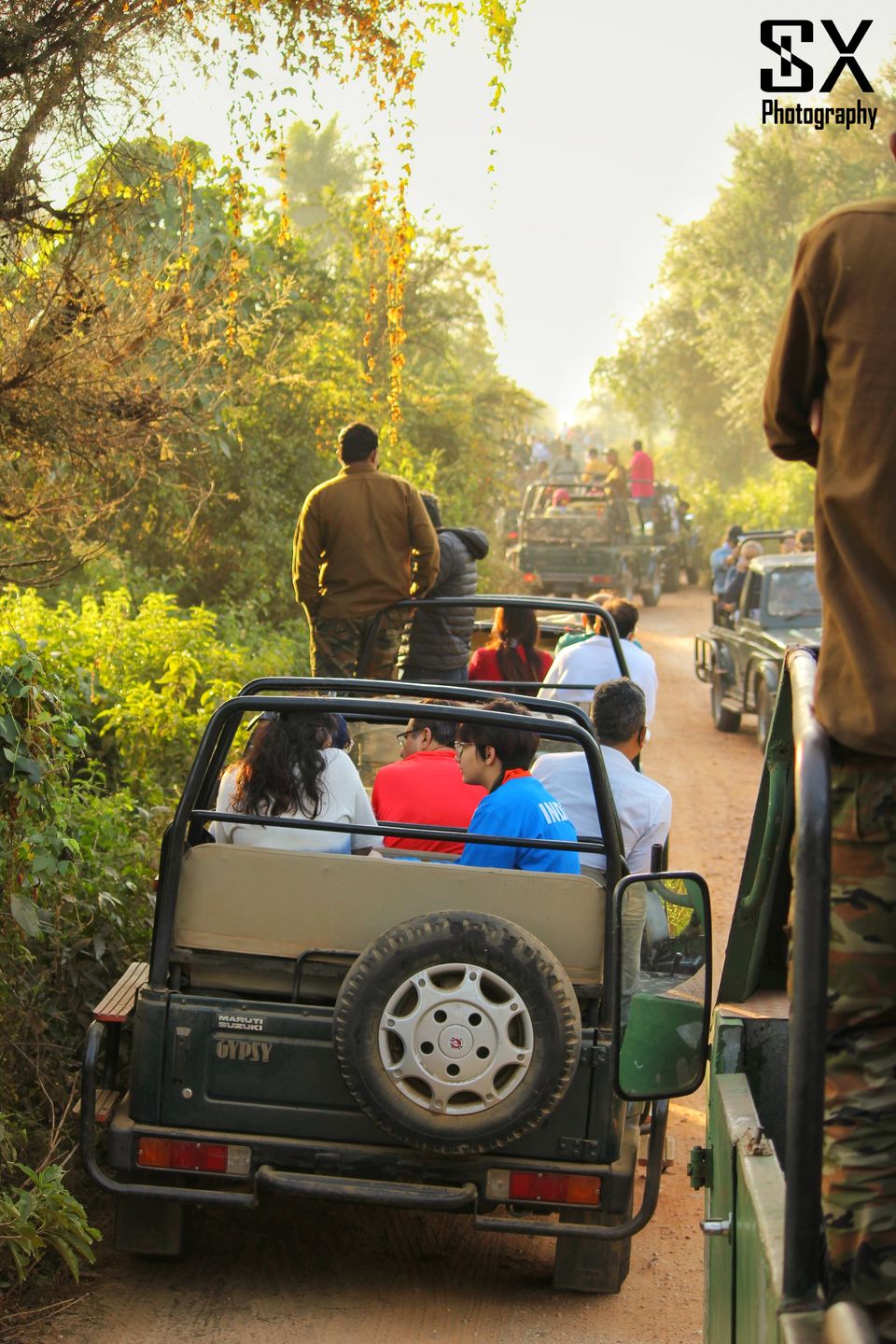 Photo of Thrilling Safari at Sariska Tiger Reserve by Sivalingam P