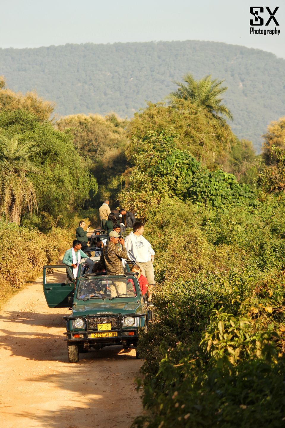 Photo of Thrilling Safari at Sariska Tiger Reserve by Sivalingam P
