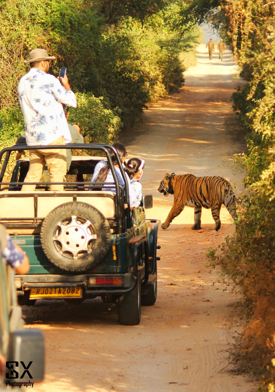 Photo of Thrilling Safari at Sariska Tiger Reserve by Sivalingam P