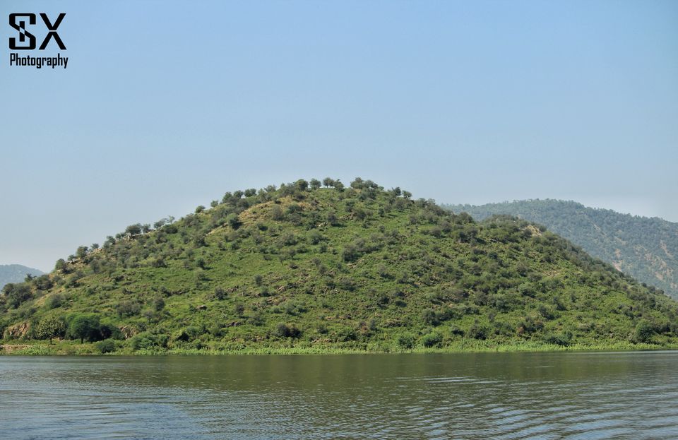 Photo of Thrilling Safari at Sariska Tiger Reserve by Sivalingam P