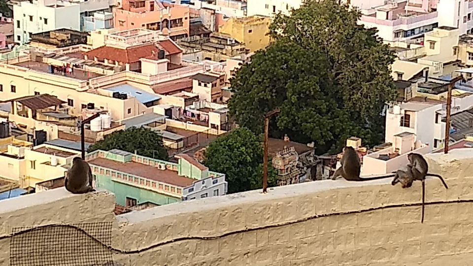 Photo of Trip to Rockfort Temple, Trichy by PR Siva