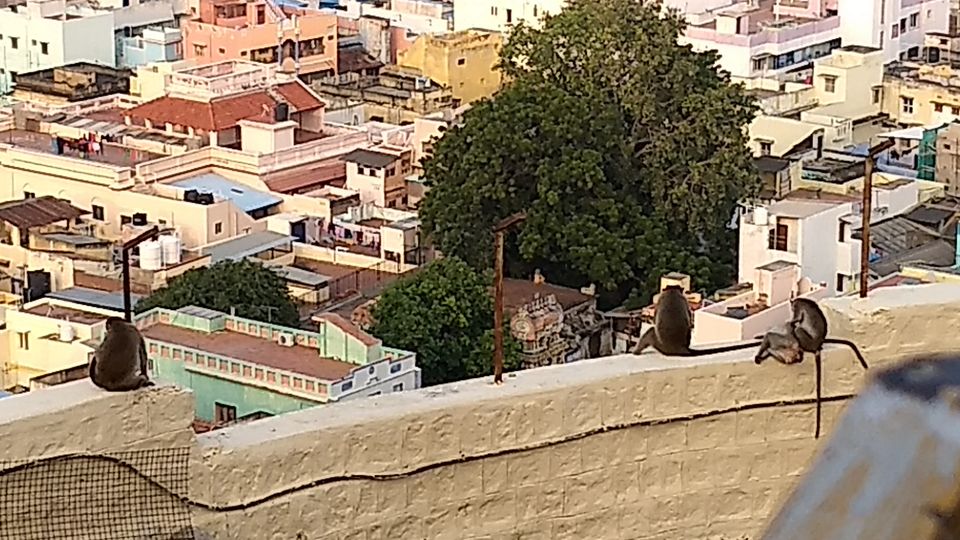 Photo of Trip to Rockfort Temple, Trichy by PR Siva