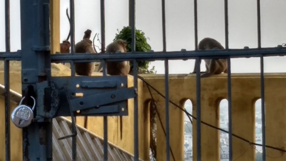 Photo of Trip to Rockfort Temple, Trichy by PR Siva