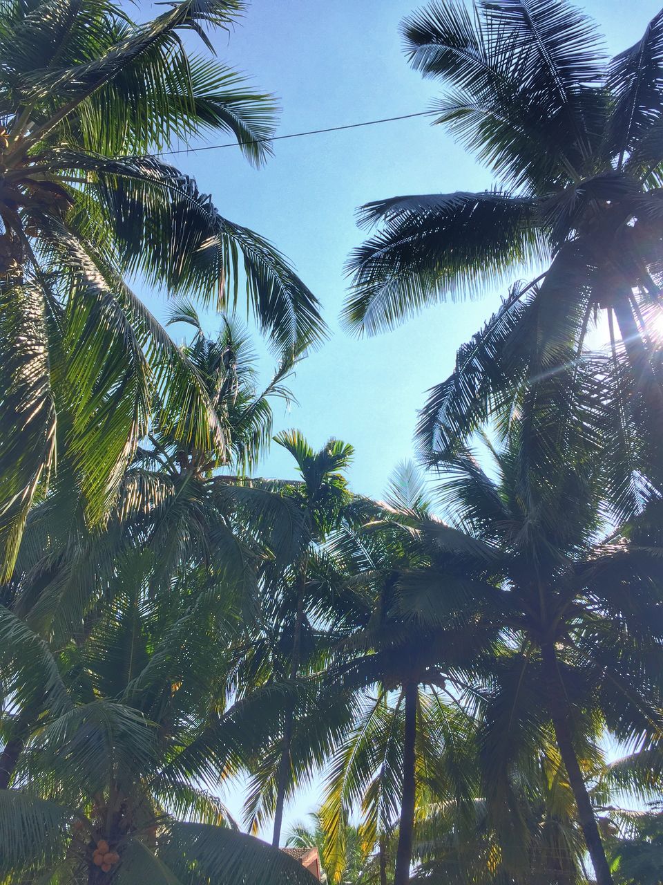Photo of Best and must visit Places in Goa around New Year's Eve. 1/1 by Nishant Pruthi