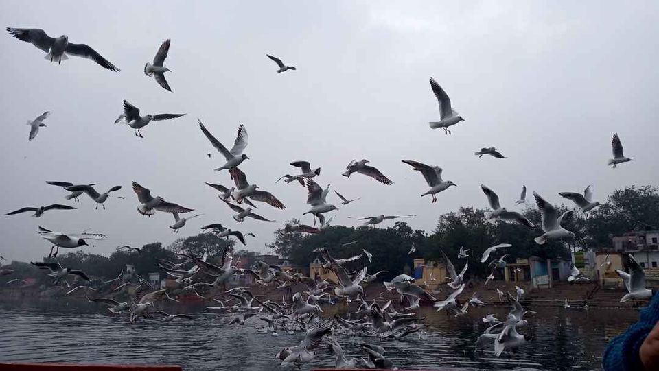 Photo of Experience the Dil walo ki Dilli #ExploringMyCity 8/8 by Shivam Mittal