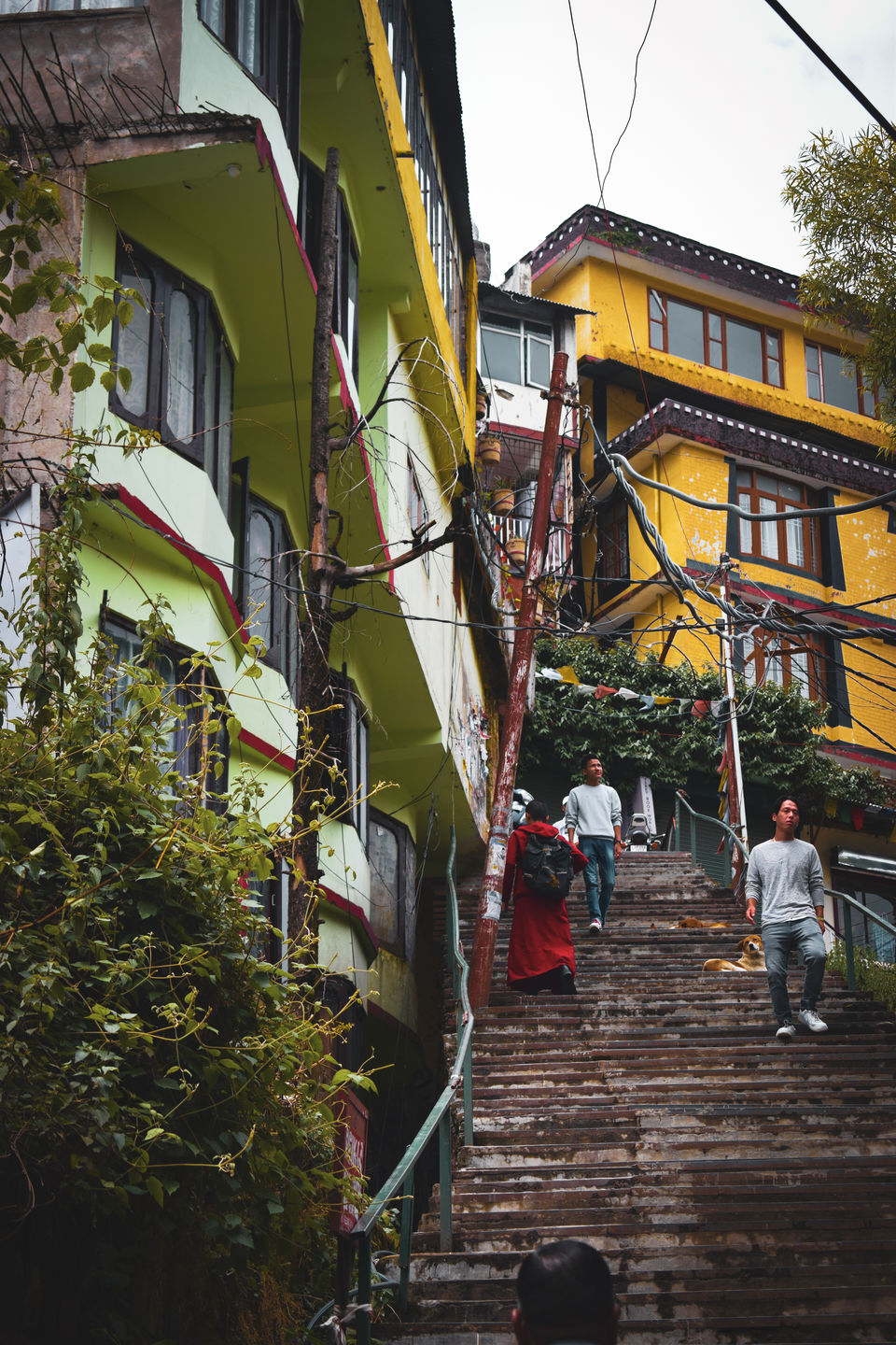 Photo of A day in Dalai Lama's town #Mc'Leodganj 2/3 by Shivam Mittal