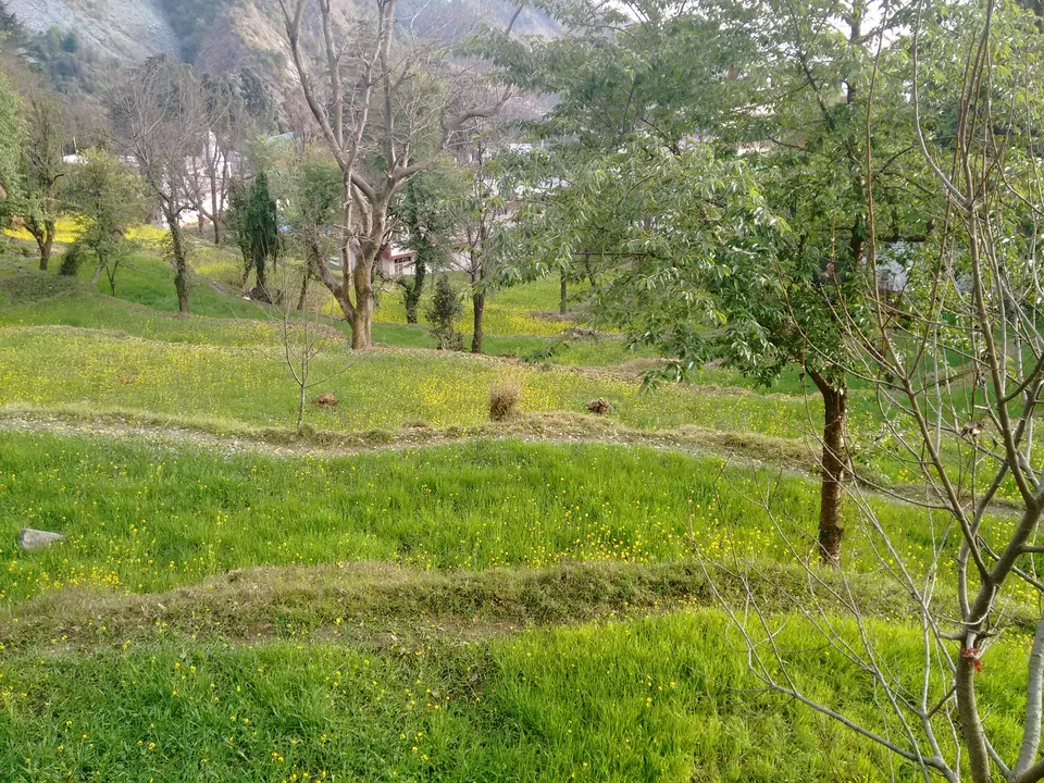 Photo of Naddi, Dharamshala, Himachal Pradesh, India by Kirat S