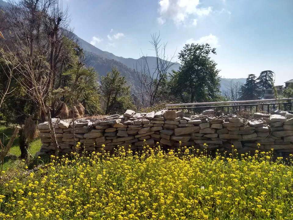 Photo of Naddi, Dharamshala, Himachal Pradesh, India by Kirat S