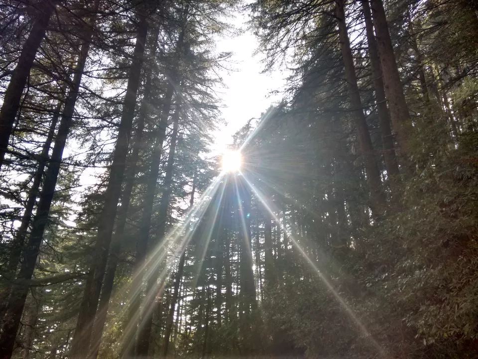 Photo of Naddi, Dharamshala, Himachal Pradesh, India by Kirat S