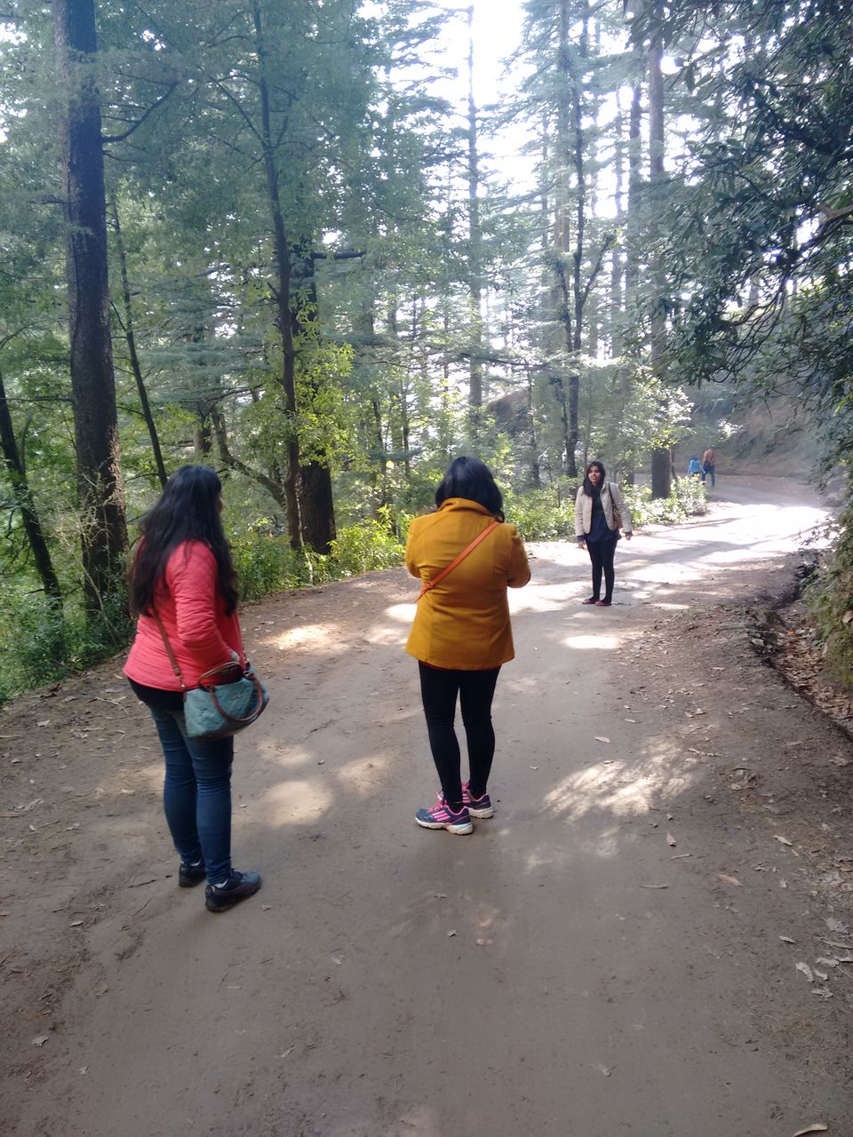 Photo of Why your travel companion doesn't need to be your best friend 4/5 by Kirat S
