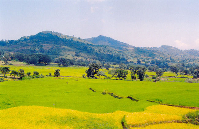 Photo of Araku Valley: The perfect retreat for solo travellers by Kirat S