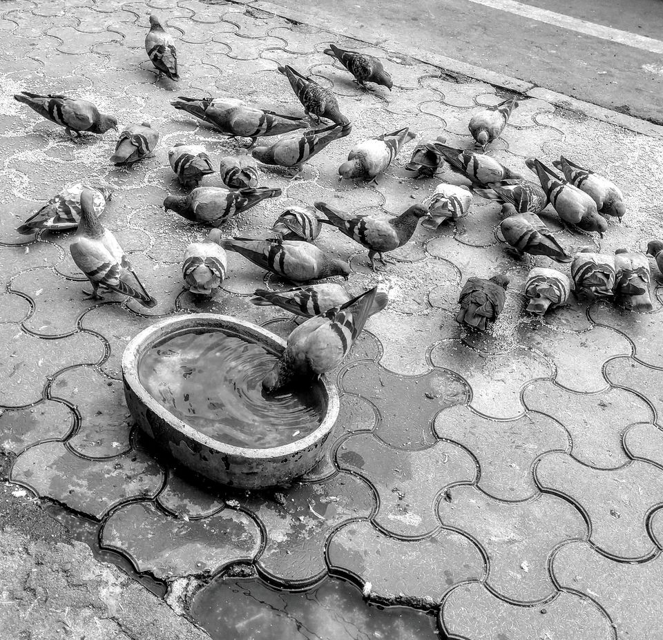 Photo of Hyderabad, Telangana, India by Apratim Kundu