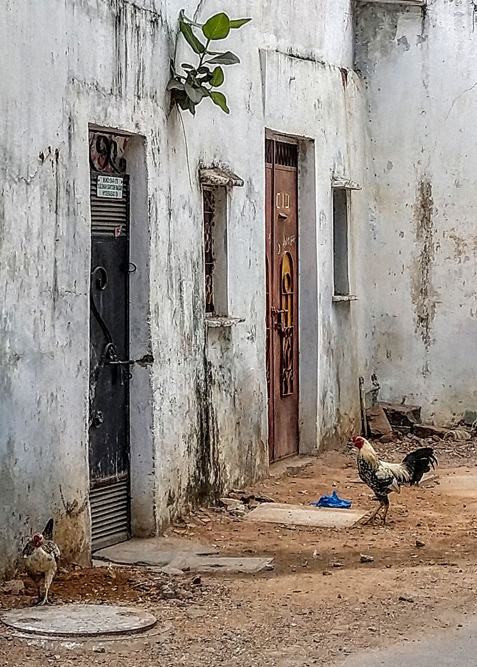 Photo of Hyderabad, Telangana, India by Apratim Kundu
