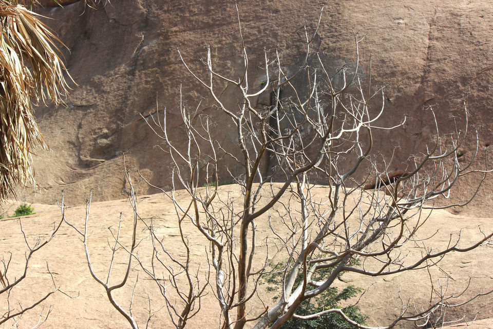 Photo of A day trip to Bhuvanagiri, the 2.5 billion years old batholith hill near Hyderabad by Apratim Kundu