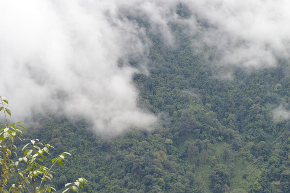 Photo of Bagdogra, West Bengal, India by Satwinder singh dhaliwal