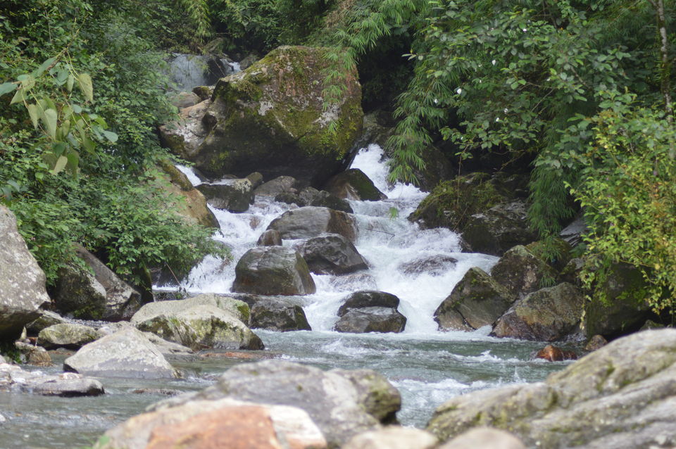 Photo of Bagdogra, West Bengal, India by Satwinder singh dhaliwal