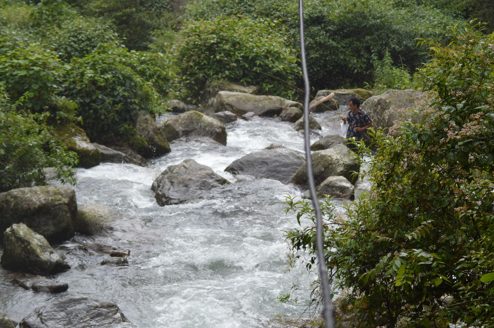 Photo of Bagdogra, West Bengal, India by Satwinder singh dhaliwal
