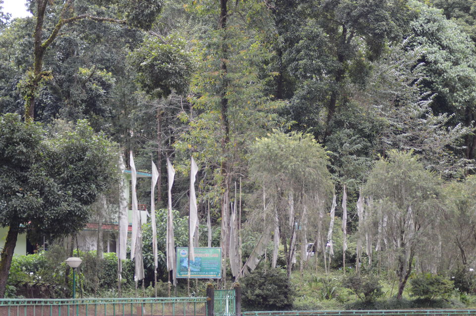 Photo of Bagdogra, West Bengal, India by Satwinder singh dhaliwal