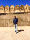 Photo of Amer Fort, Jaipur, Rajasthan, India by Ankush Sharma