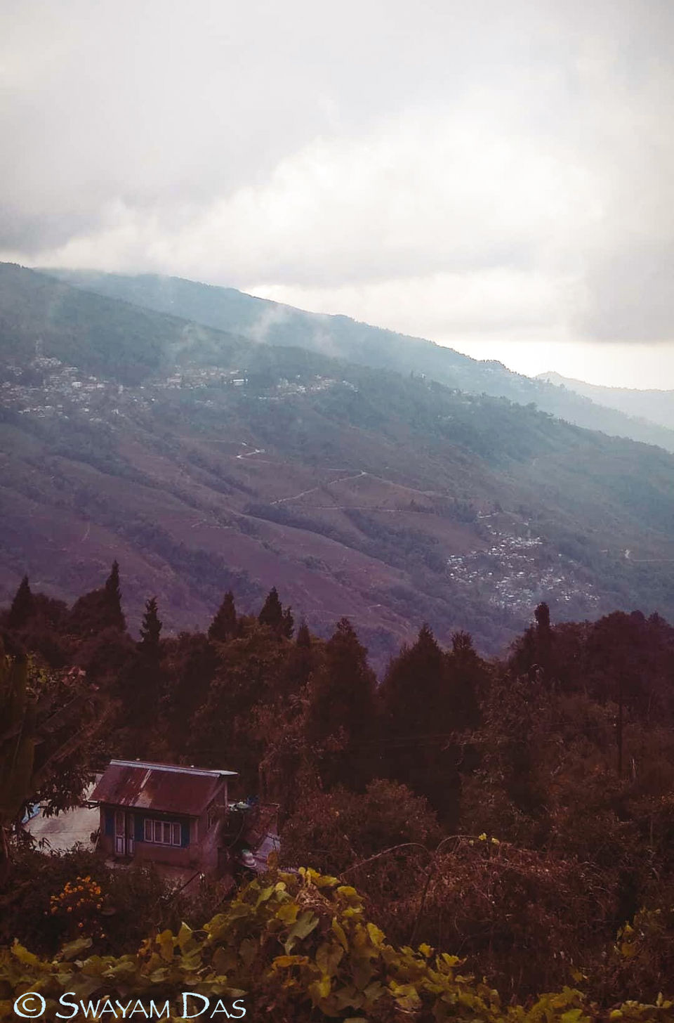 Photo of Darjeeling - The Queen of Hill Station 2/18 by Swayam Das