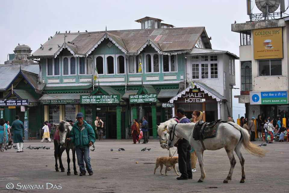 Photo of Darjeeling - The Queen of Hill Station 4/18 by Swayam Das