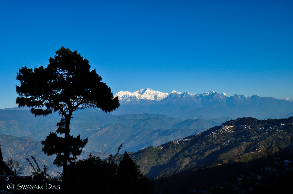 Photo of Darjeeling - The Queen of Hill Station 14/18 by Swayam Das