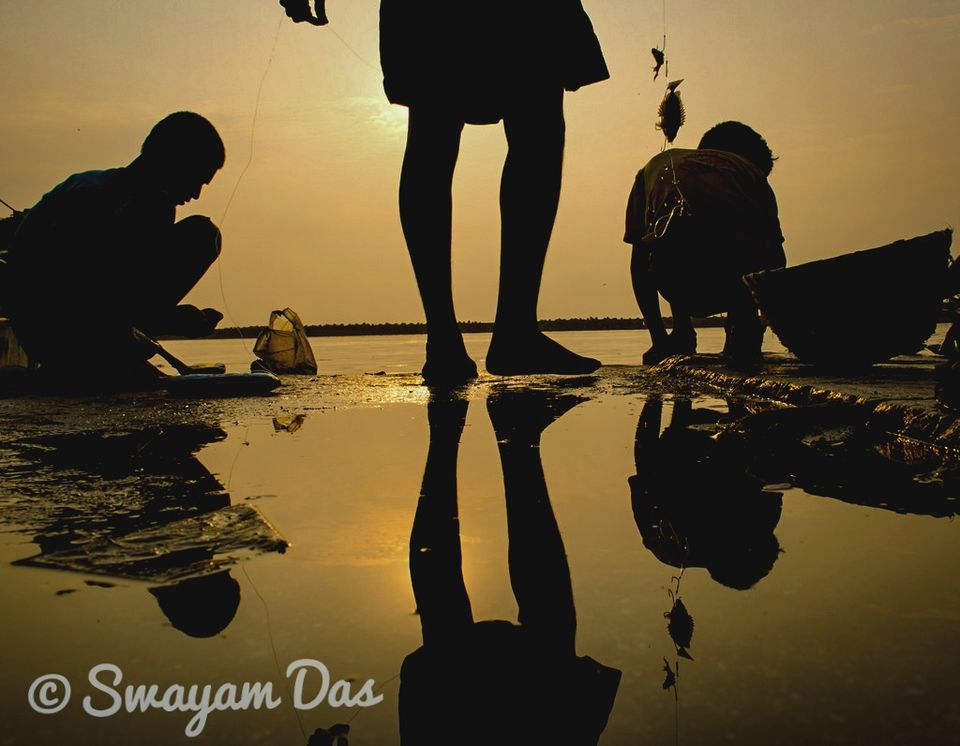 Photo of Royapuram Fishing Harbour for stunning photos and fresh seafood by Swayam Das