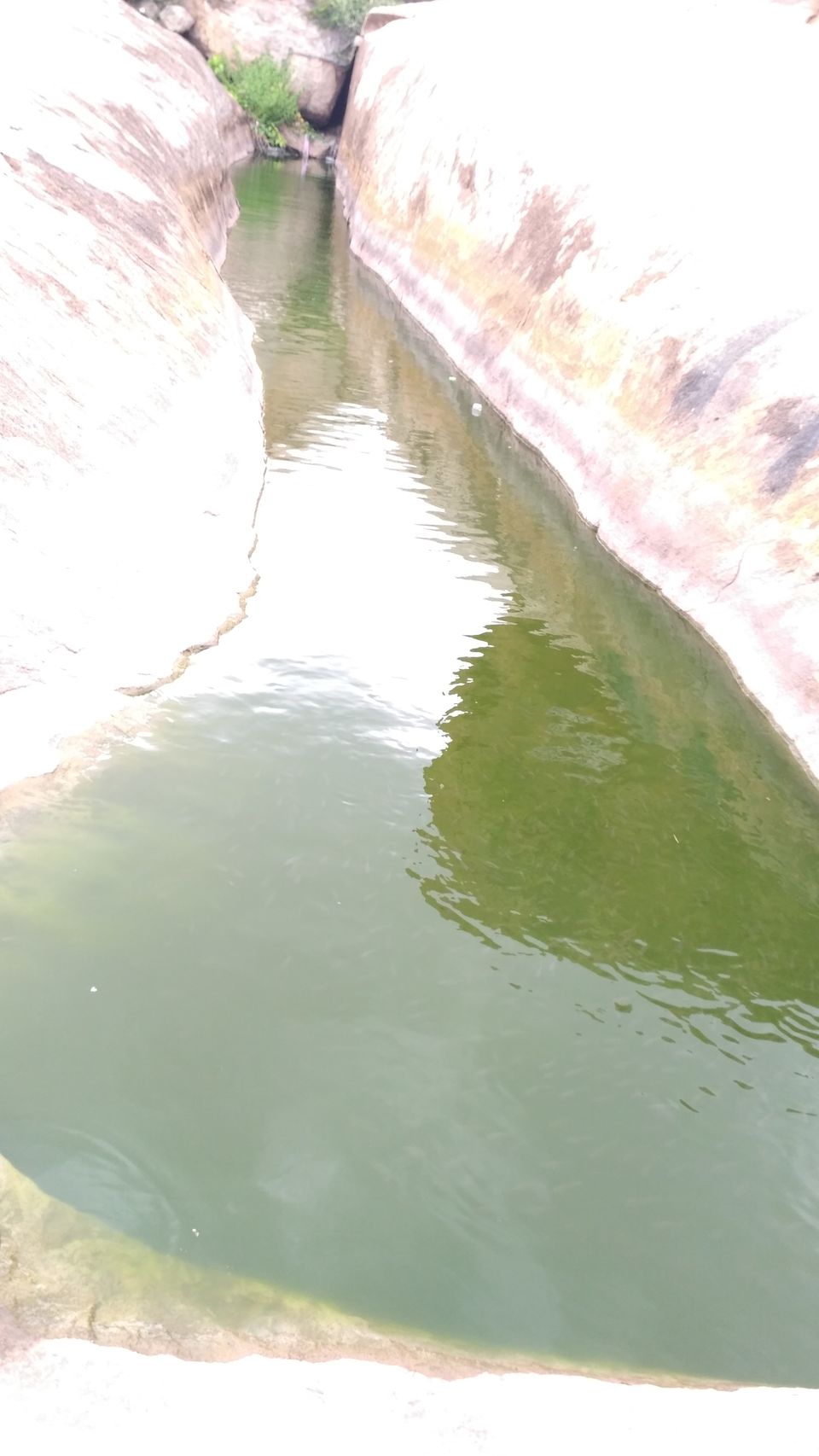 Photo of Avani hills 9/11 by Sapna Harshavardhan