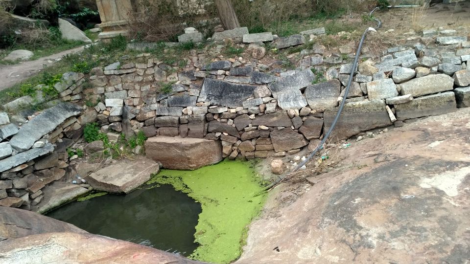 Photo of Avani hills 6/11 by Sapna Harshavardhan