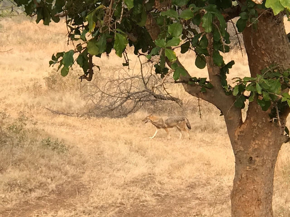 Photo of Gujarat Is Much More Than Just Temple’s . Family Trip Covering Major Tourist Places by Himanshu Garg