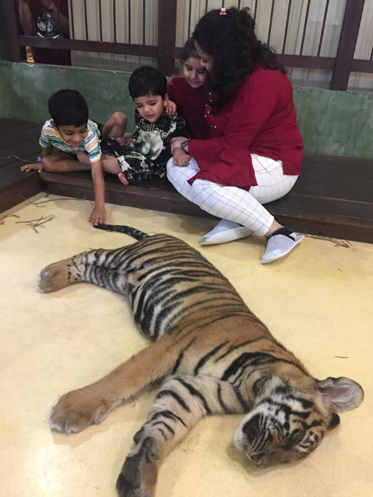 Photo of Tiger Kingdom Phuket, Kathu, Kathu District, Phuket, Thailand by Himanshu Garg