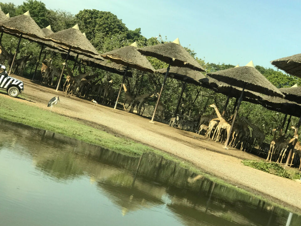 Photo of Safari World, Thanon Panya Intra, Sam Wa Tawan Tok, Khlong Sam Wa, Bangkok, Thailand by Himanshu Garg
