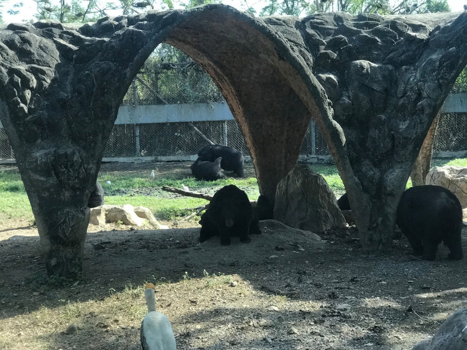 Photo of Safari World, Thanon Panya Intra, Sam Wa Tawan Tok, Khlong Sam Wa, Bangkok, Thailand by Himanshu Garg