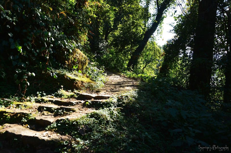 Photo of Dubdi, Sikkim, India by Supriya Samanta
