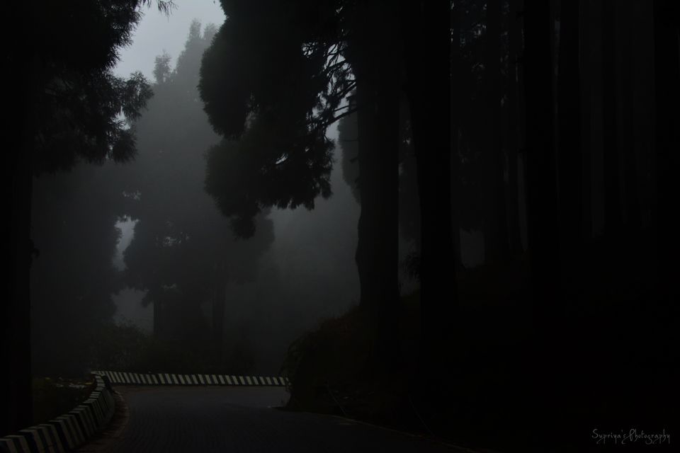 Photo of Lepcha Jagat, West Bengal, India by Supriya Samanta