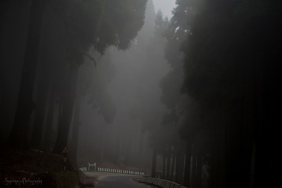 Photo of Lepcha Jagat, West Bengal, India by Supriya Samanta