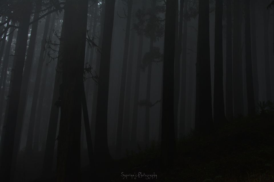 Photo of Ghoom- The Cloudy Tale Of Darjeeling! by Supriya Samanta