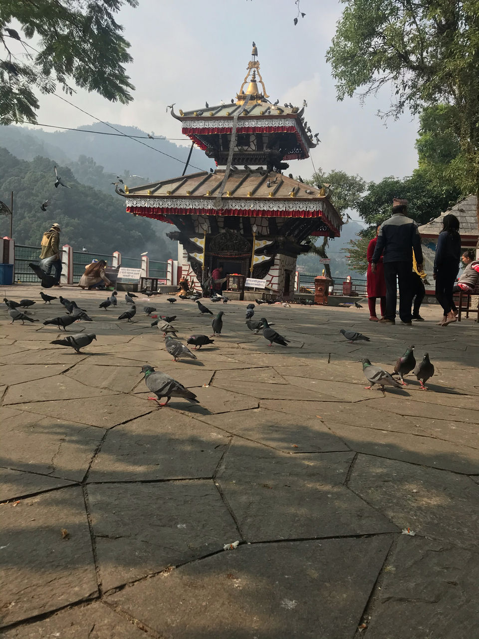 Photo of Exploring NEPAL on my Royal Enfield by Mohit