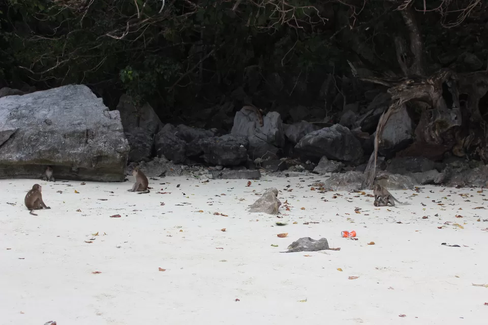 Photo of Sunwaree Phi Phi Resort Ao Nang Krabi Thailand by urvashi singh