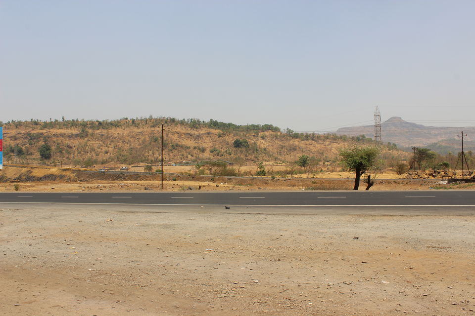 Photo of Sula Vineyards, Nashik, Maharashtra, India by urvashi singh